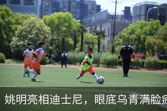 姚明亮相迪士尼，眼底乌青满脸疲惫，一身伤病走路一瘸一拐太沧桑