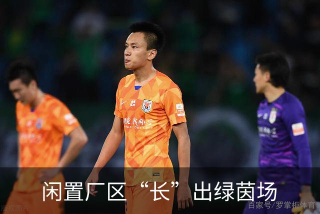 闲置厂区“长”出绿茵场